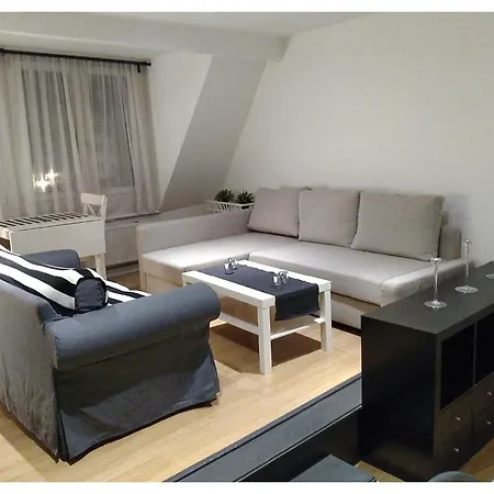 Zolo Daire